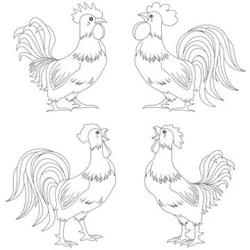Set of four funny Rooster outlines Stock Illustration
