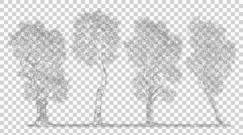 Set of four mature trees in line art elevation isolated on transparent Illustration