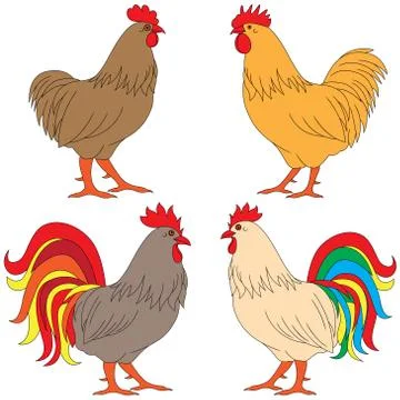 Set of four multicolor Roosters Stock Illustration