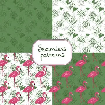 Set of four patterns with flamingos. delicate seamless vector pattern with pi Illustrazione stock