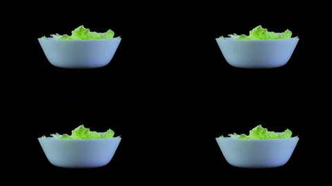 Set Of Four Plates With Pekinese Cabbage Salad Stock Footage 78626834