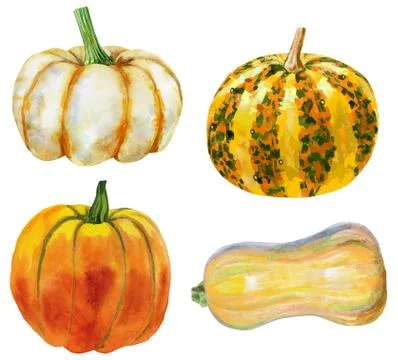 Set of four pumpkins on isolated white background, watercolor illustration, h Illustrazione stock