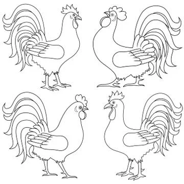 Set of four Rooster outlines Stock Illustration