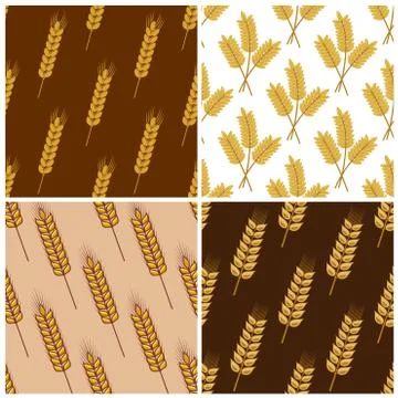 Set of four seamless patterns of wheat Stock Illustration