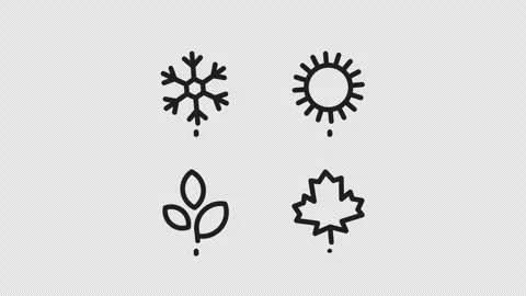 Set of four seasons in circle icons. Summer, winter, spring, autumn. Alpha .. Video stock 342423078