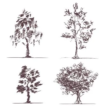 Set of four sketches trees Stock-Illustration