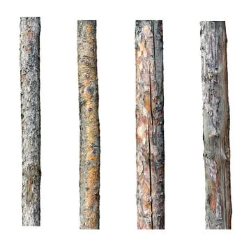 Set of four timber isolated on white background Stock-Fotos