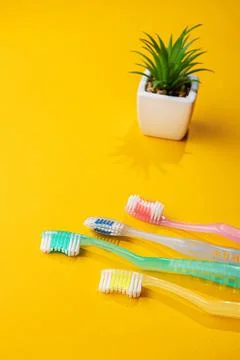 Set of four toothbrushs Stock Photos