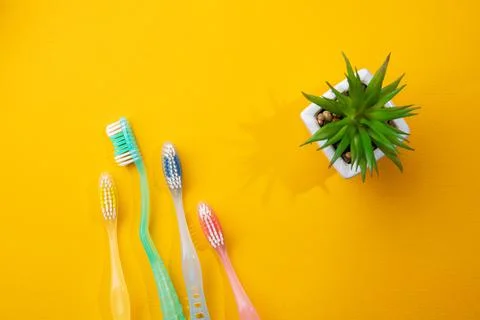 Set of four toothbrushs Stock Photos