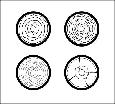 Set of Four Tree Trunk Cross-Section Illustrations Showing Growth Rings, Cr.. Stockillustratie