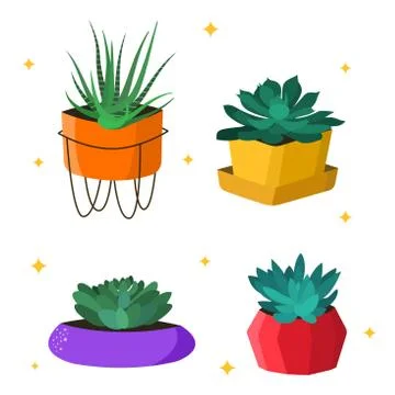 Set of four vector illustrations of succulents in colorful pots. Stock Illustration