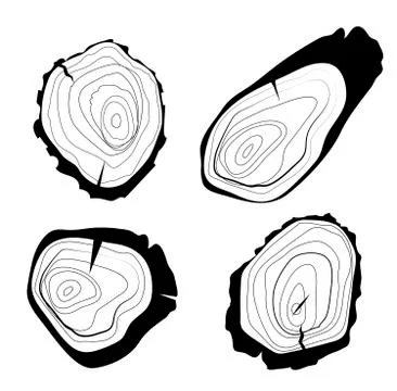 Set of four vector tree rings background and saw cut tree trunk. Grayscale イラスト素材
