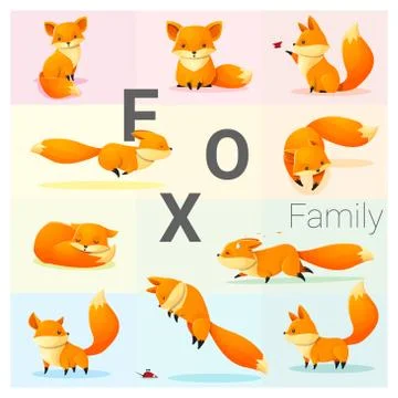 Set of Fox family Stock Illustration