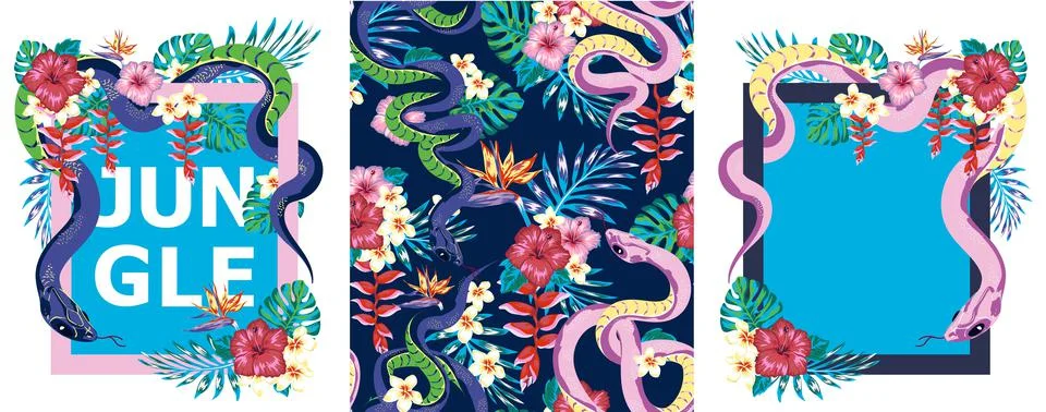 Set of frame designs with snake and tropis flowers in the jungle, jungle patt Stock Illustration