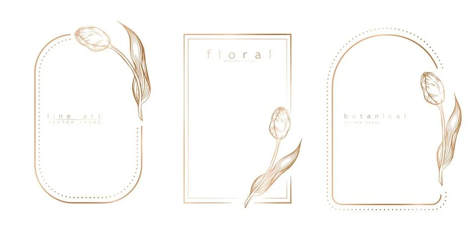 Set of frame templates with hand drawn tulips Stock Illustration
