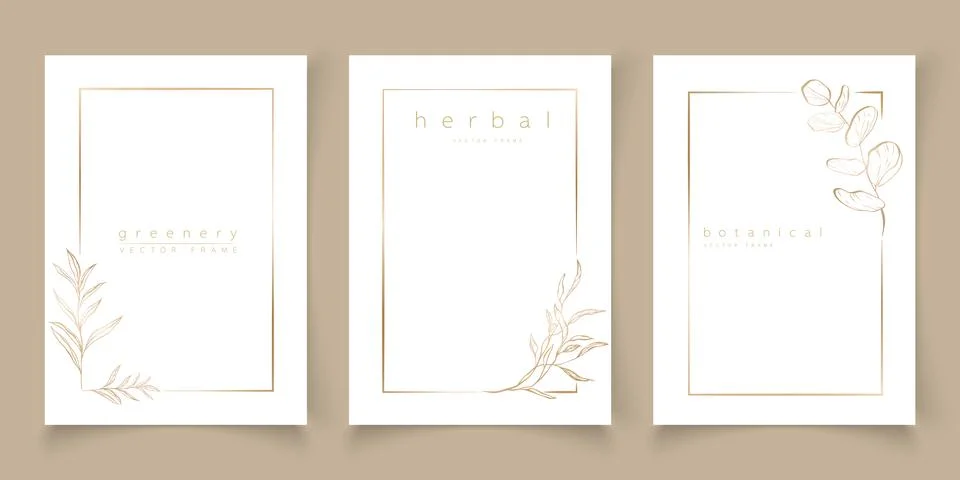 Set of frame templates in minimal linear style with hand drawn branches Stock Illustration
