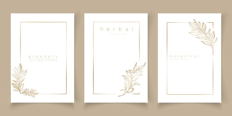 Set of frame templates in minimal linear style with hand drawn branches Stock Illustration