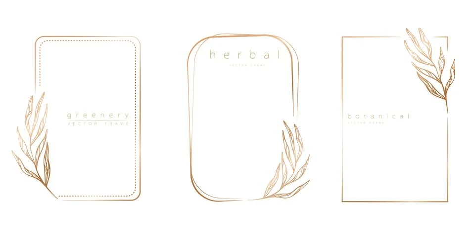 Set of frame templates in minimal linear style Ilustración de archivo