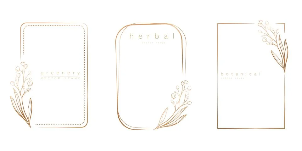 Set of frame templates in minimal linear style Stock Illustration