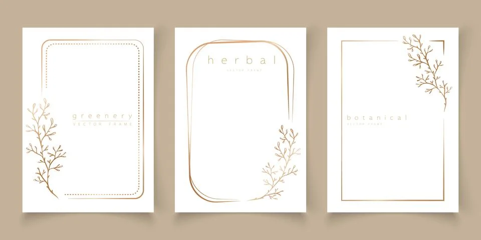 Set of frame templates in minimal linear style Stock Illustration