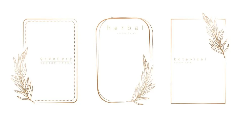 Set of frame templates in minimal linear style Stock Illustration