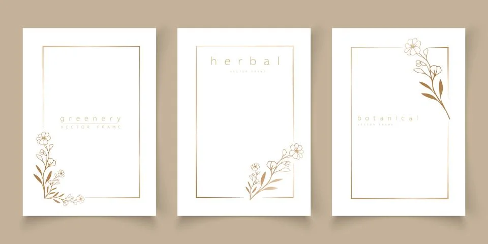 Set of frame templates in minimal linear style Stock Illustration