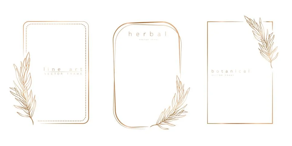 Set of frame templates in minimal linear style with hand drawn branches and l Stock Illustration
