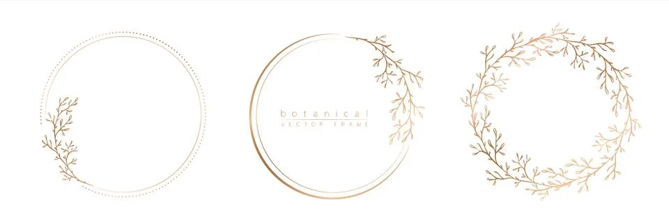 Set of frame templates in minimal linear style with hand drawn branches and l Stockillustratie