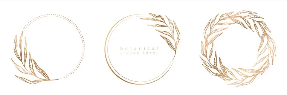 Set of frame templates in minimal linear style with hand drawn branches and l Illustration