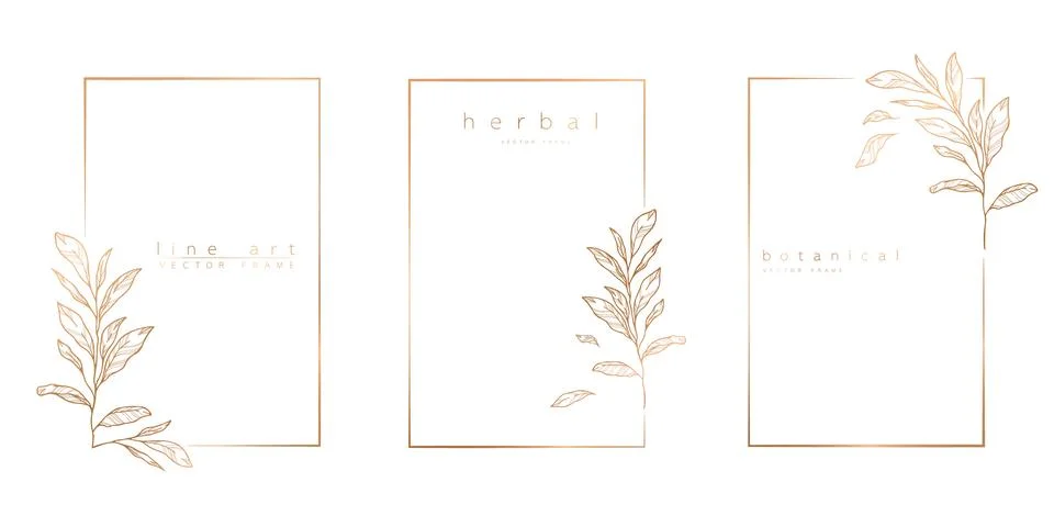 Set of frame templates in minimal linear style with hand drawn branches and l Stock Illustration