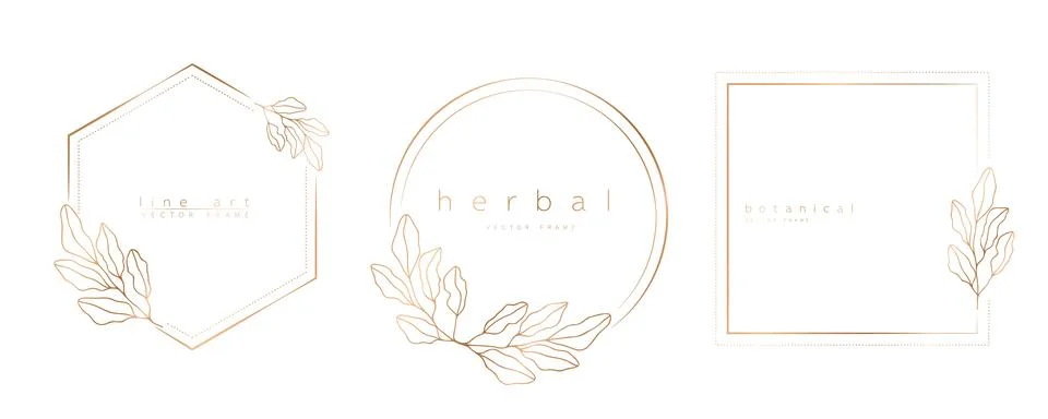 Set of frame templates in minimal linear style with hand drawn branches and l Stock Illustration