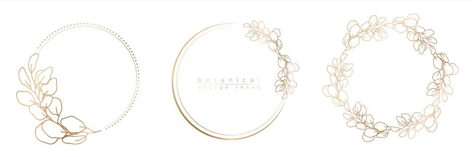 Set of frame templates in minimal linear style with hand drawn branches and l Ilustración de archivo