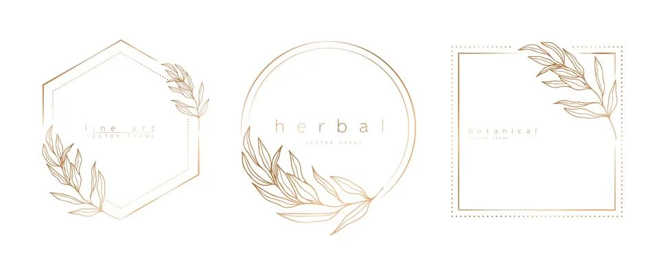 Set of frame templates in minimal linear style with hand drawn branches and l Stock Illustration