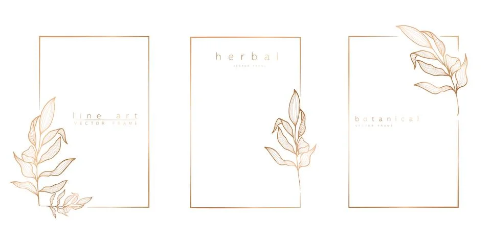 Set of frame templates in minimal linear style with hand drawn branches and l Stock Illustration