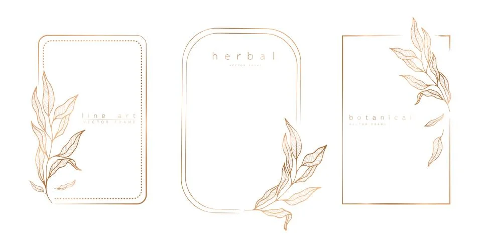 Set of frame templates in minimal linear style with hand drawn branches and l Иллюстрация