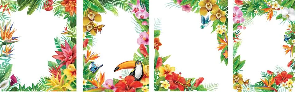 Set of Frames and from Tropical Flowers Stock Illustration