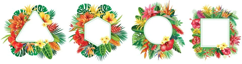 Set of Frames and from Tropical Flowers Stock Illustration