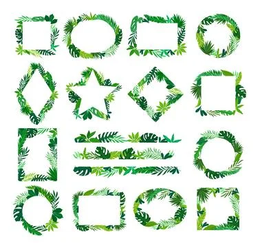 Set of frames of different shapes made of tropical leaves with white empty space イラスト素材