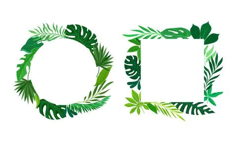 Set of frames of round and square shapes with palm leaves, invitation, greeting Illustration