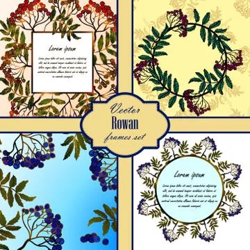 Set of frames with rowan Stock Illustration