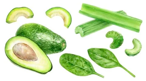 Set of frech celery with avocado, spinach watercolor illustration isolated on Stock Illustration