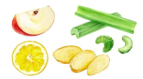Set of frech celery with ginger, apple, lemon watercolor illustration isolated Stock Illustration