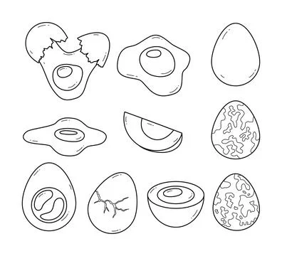 Set of fresh and boiled eggs outline set collection of whole eggs line art,.. Stock Illustration