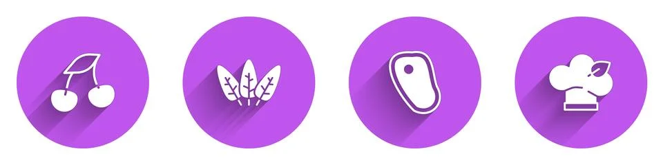 Set Fresh berries, Leaf, Steak meat and Vegan food diet icon with long shadow Stock Illustration