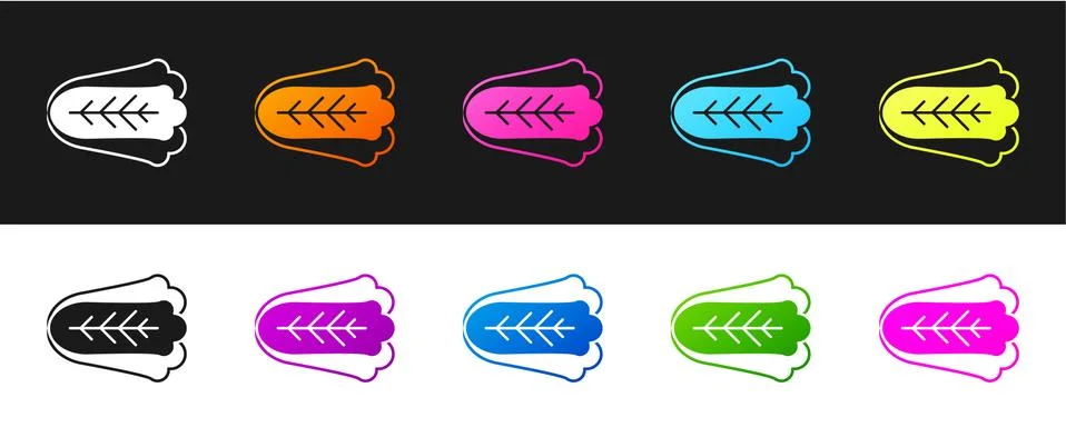 Set Fresh cabbage vegetable icon isolated on black and white background. Vector Stock Illustration