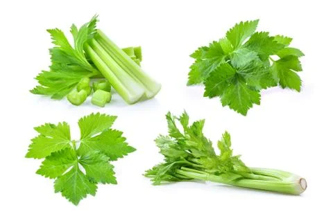 Set of fresh celery isolated on white background Stock Photos
