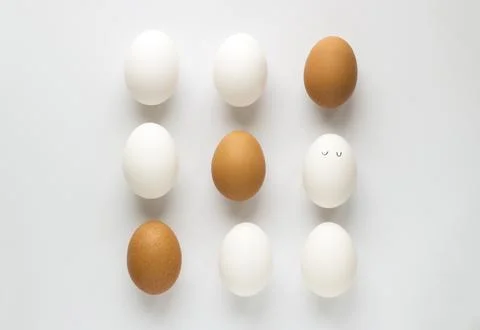 Set of fresh chicken egg in container on white paper background. Concept for  Stock Photos