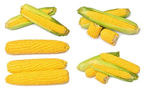 Set of fresh corn cob and grains isolated on white background Stock Photos