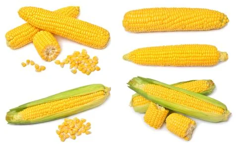 Set of fresh corn cob and grains isolated on white background Stock Photos