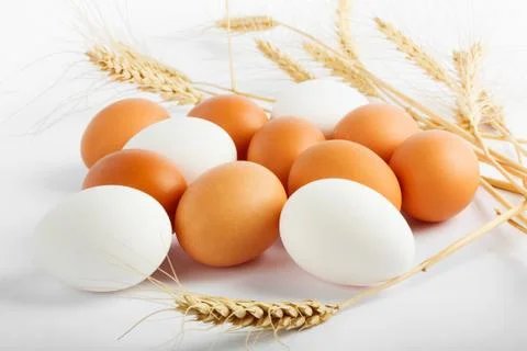 Set of fresh eggs for Easter with ears of wheat Stock Photos